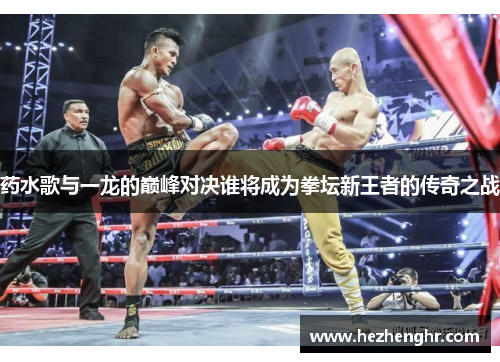 药水歌与一龙的巅峰对决谁将成为拳坛新王者的传奇之战
